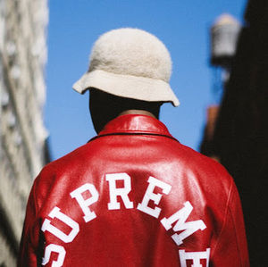 Meet your Posher, Rex